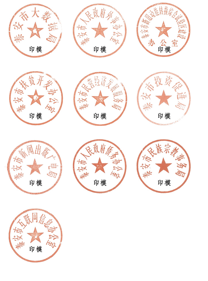 泰政办字201914号泰安市人民政府办公室关于启用泰安市大数据局等部门