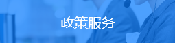 政策服务