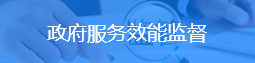 政府服务效能监督